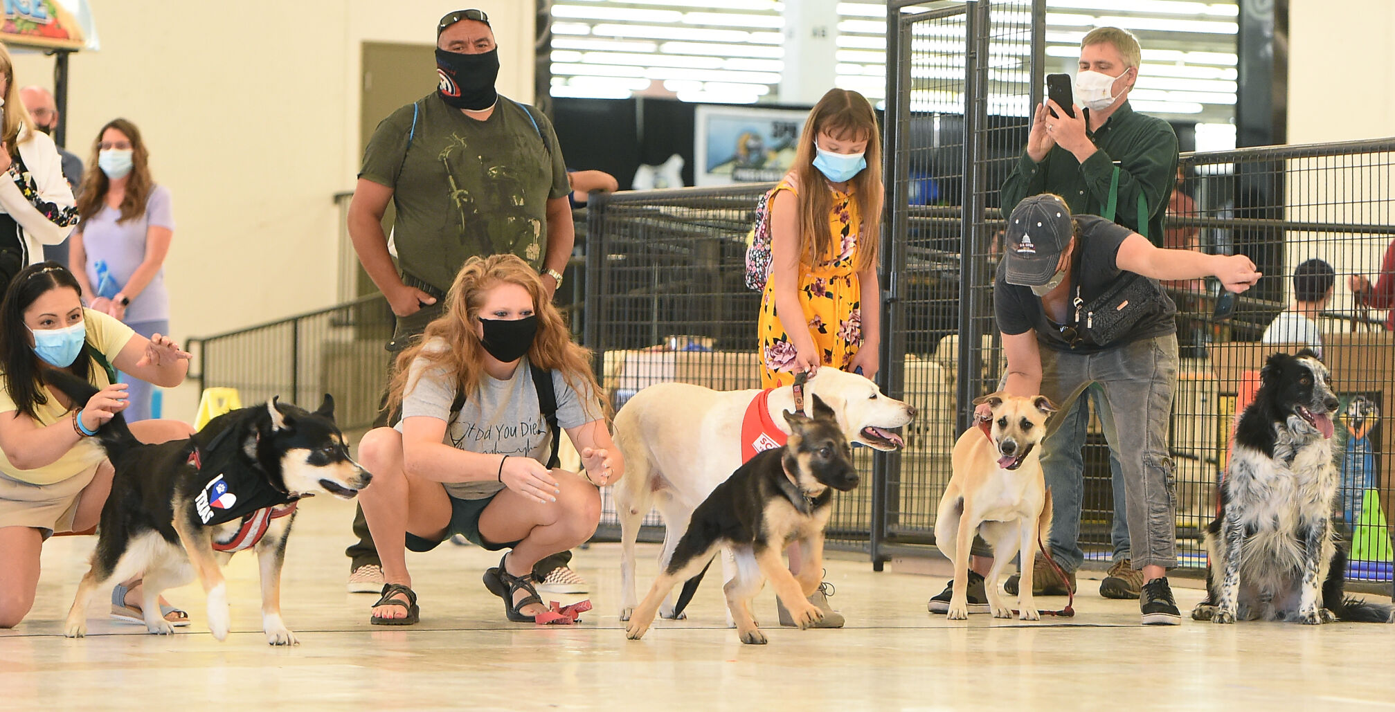 042521-news-pets 06.JPG